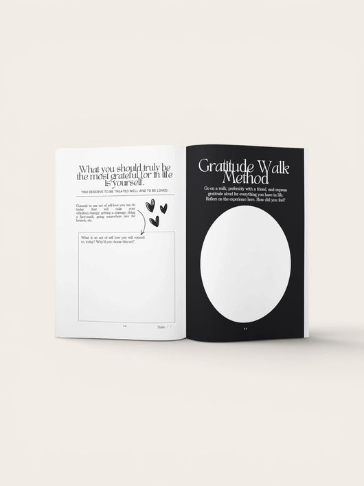 The Miracle Journal