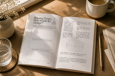 The Miracle Journal
